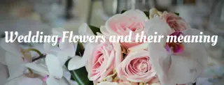 <br />
<b>Warning</b>:  Undefined variable $ImageTitle in <b>D:\Sites\4. Production\Booker Weddings\Views\Blog\BlogListing.php</b> on line <b>11</b><br />
